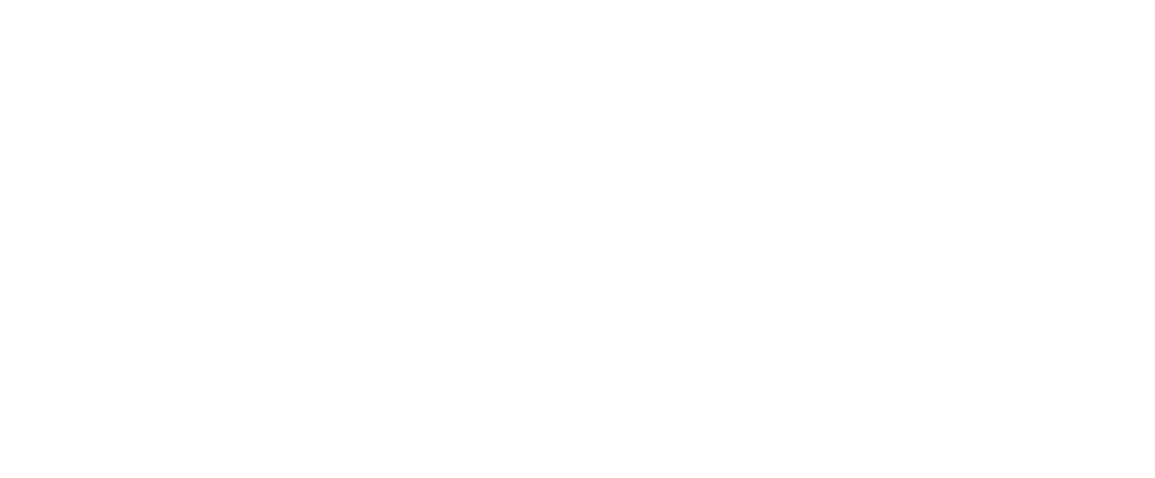 karabin gruppen